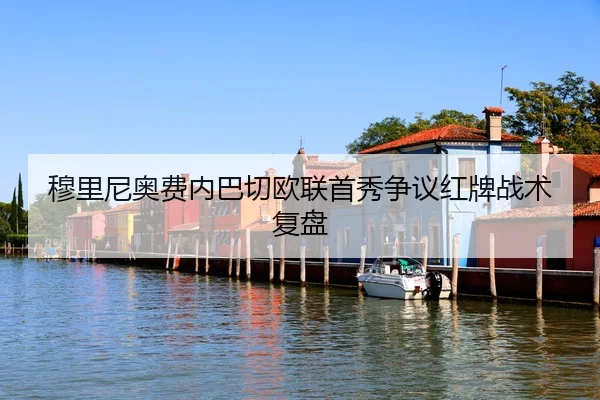 mu-li-ni-ao-fei-nei-ba-qie-ou-lian-shou-xiu-zheng-yi-hong-pai-zhan-shu-fu-pan-3-233.jpg